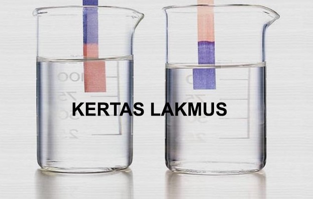 Pengertian Kertas Lakmus: Penggunaan, Cara Kerja, dan Jenis-jenisnya